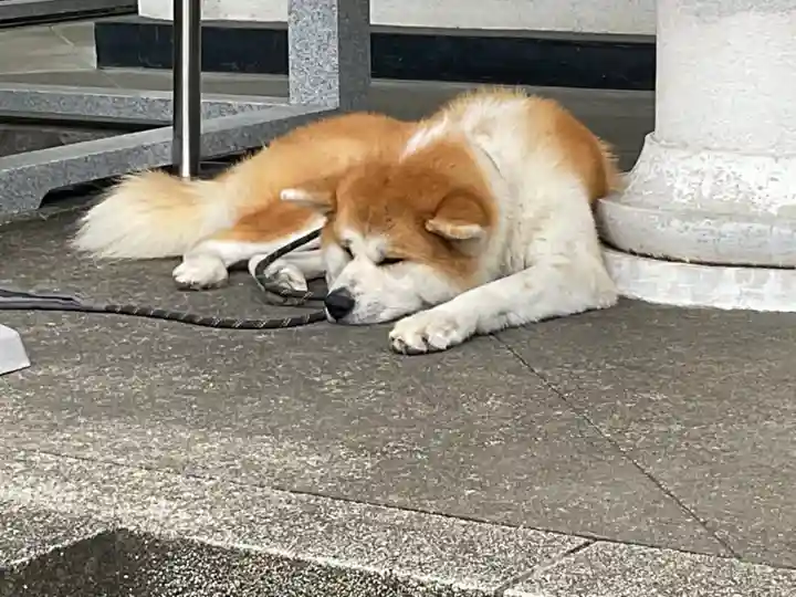 願成就院の動物