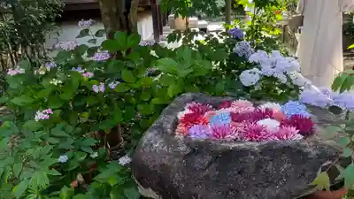 岡寺(龍蓋寺)(奈良県)