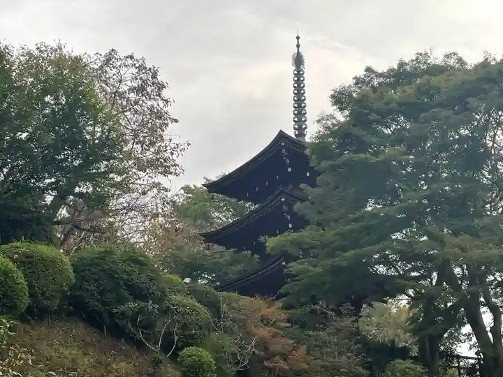 岡寺(龍蓋寺)(奈良県)