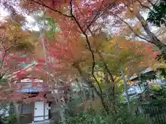 善法律寺(京都府)