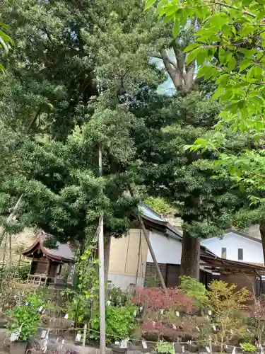 瀬戸神社(神奈川県)