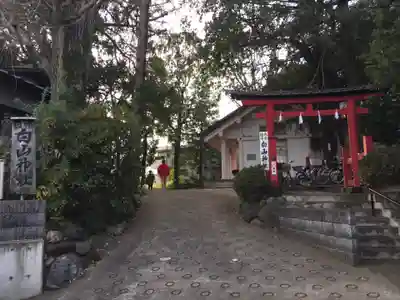 成宗白山神社(東京都)