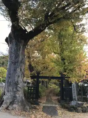 広沢寺の自然