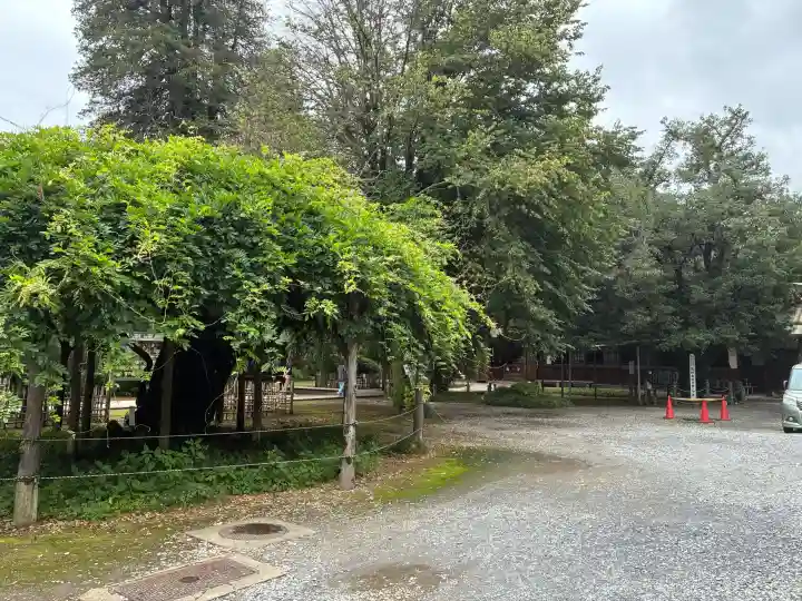 茂林寺(群馬県)