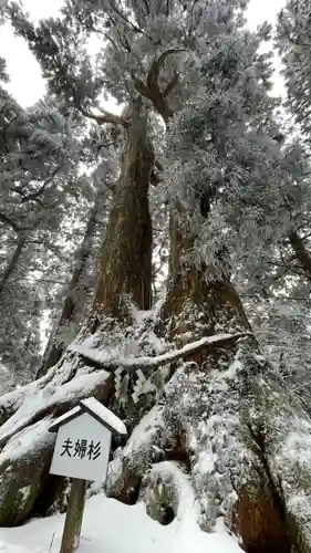葛木神社の自然