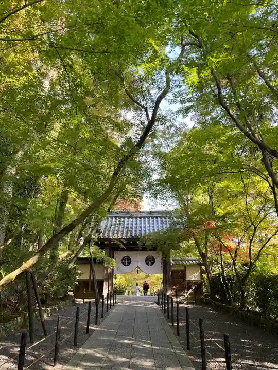 光明寺(粟生光明寺)(京都府)