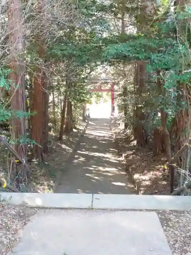 八宮神社（廣野）の{uncategorized: "未分類", other: "その他", undefined: "問題あり", building: "その他建物", grave: "お墓", sacred_gate: "鳥居", guardian: "狛犬", statue: "像", buddha: "仏像", history: "歴史", nature: "自然", garden: "庭園", animal: "動物", pagoda: "塔", temizu: "手水舎", mountain_gate: "山門・神門", sanctuary: "本殿・本堂", subordinate: "末社・摂社", art: "芸術", scenery: "景色", jizo: "地蔵", ema: "絵馬", goshuin: "御朱印", omikuji: "おみくじ", items: "授与品その他", amulet: "お守り", goshuincho: "御朱印帳", eats: "食事", festival: "お祭り", votive_dance: "神楽", shichigosan: "七五三参", wedding: "結婚式", experience: "体験その他", initially: "初詣", around: "周辺", anti_infection: "感染症対策"}