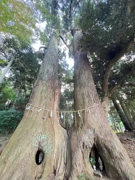 日吉神社(千葉県)