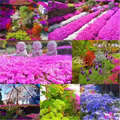 寿量山 速成寺(奈良県)