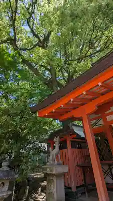 藤森神社(京都府)