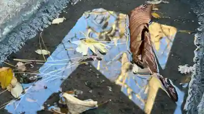 函館水天宮(北海道)