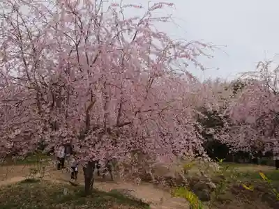 形原神社の自然