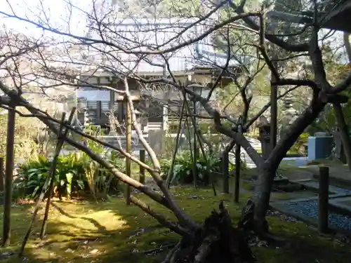 安國論寺（安国論寺）の庭園