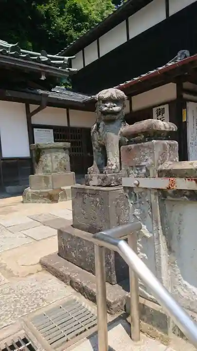 建長寺 半僧坊の狛犬