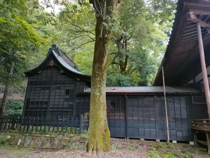 柳廼社の本殿・本堂