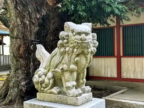 角鹿神社の狛犬