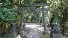 渋谷氷川神社の鳥居