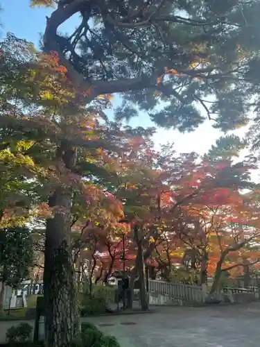 三寳寺(東京都)