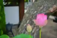 法源寺(山梨県)