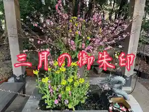 東海市熊野神社の御朱印 2024年03月01日(金)〜(2024年03月10日(日) 14時33分51秒投稿)