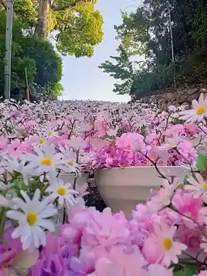 湯神社(愛媛県)