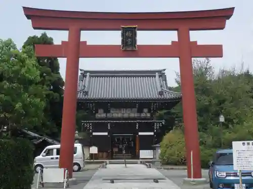 梅宮大社の鳥居