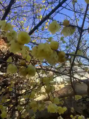 芳珠寺(愛知県)