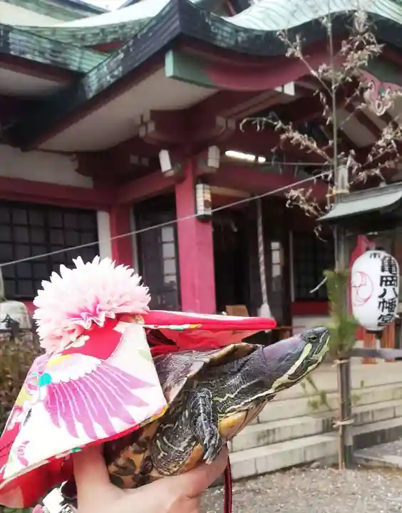 市谷亀岡八幡宮の初詣