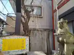 吉原神社(東京都)