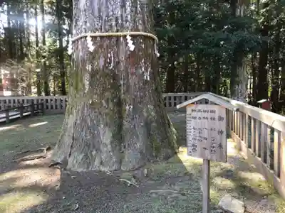 霧島神宮(鹿児島県)