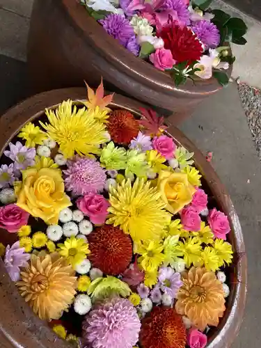 多賀神社の手水