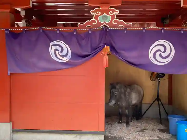 神田神社(神田明神)(東京都)