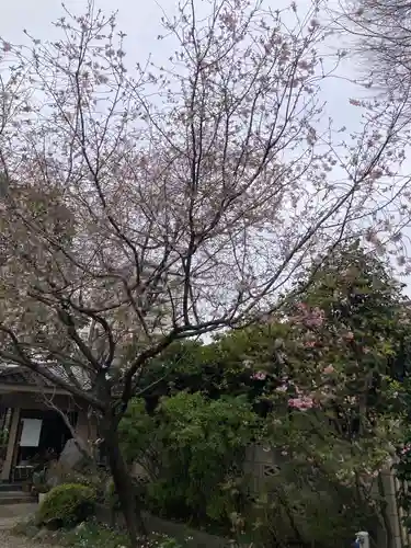 慶養寺(東京都)