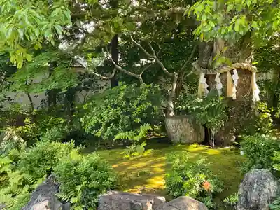 慈受院門跡(京都府)