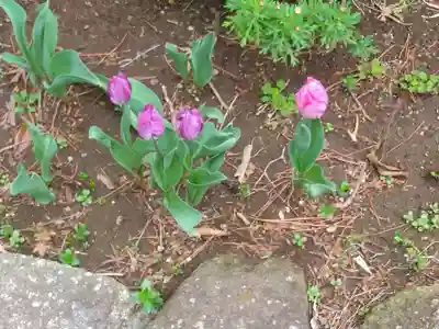八幡山観音寺(神奈川県)