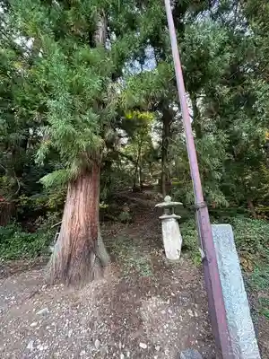 秋葉社(長野県)