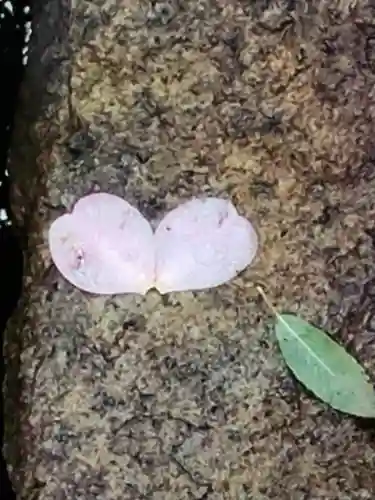 神明氷川神社(東京都)
