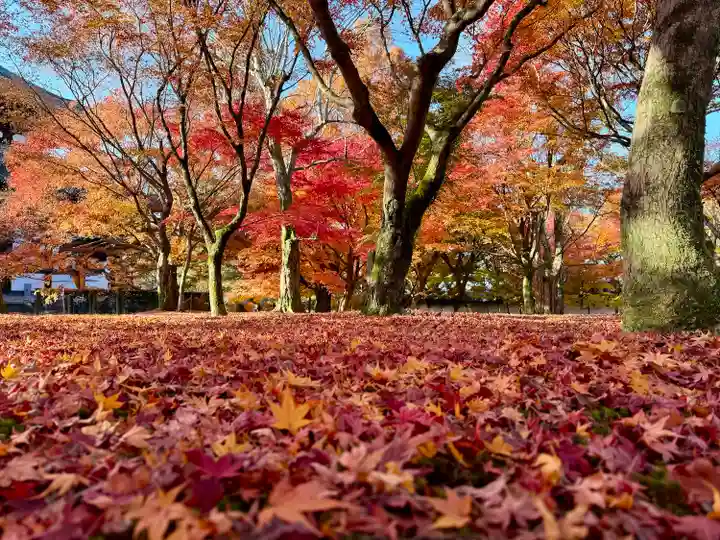 東福禅寺(東福寺)(京都府)