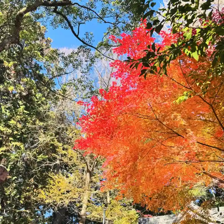事任八幡宮(静岡県)