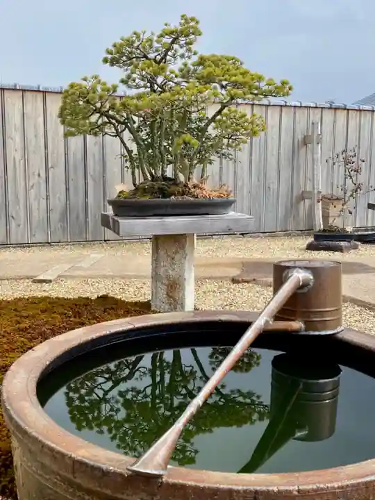 芳春院のその他建物