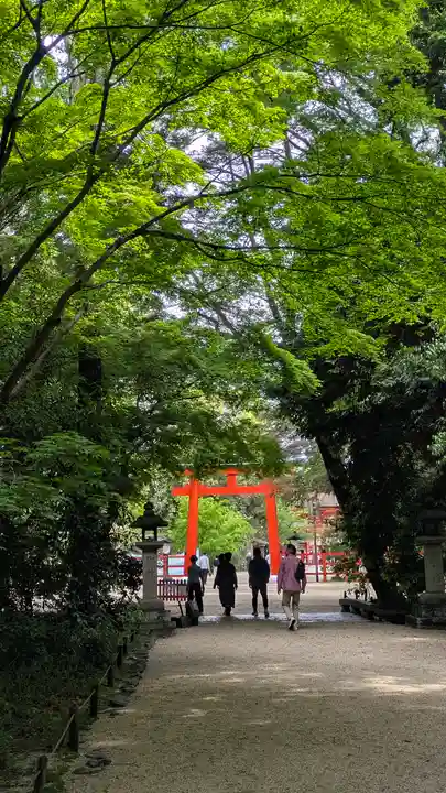 賀茂御祖神社(下鴨神社)(京都府)