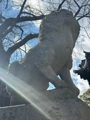膳所神社の狛犬