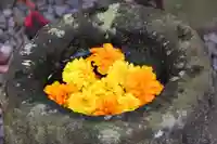 阿久津「田村神社」(郡山市阿久津町)旧社名:伊豆箱根三嶋三社の手水舎