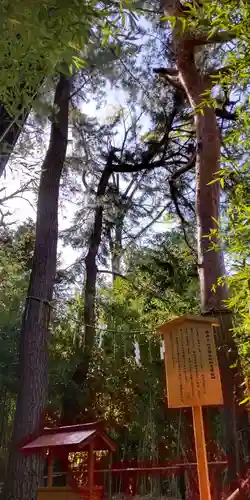 自由が丘熊野神社の自然