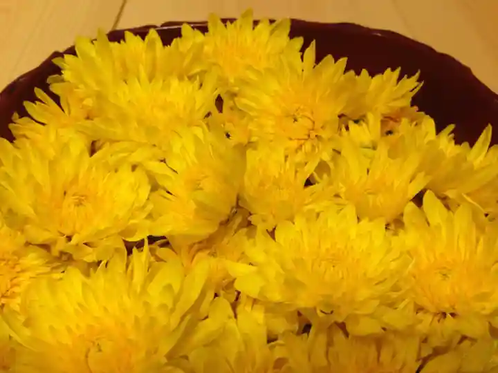 滑川神社 - 仕事と子どもの守り神のお祭り