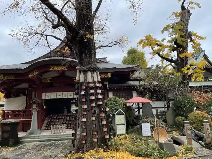 素盞雄神社(東京都)
