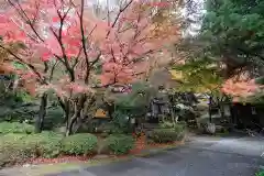 覚園寺の景色