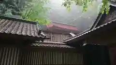 武田八幡宮の本殿