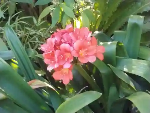 福泉寺(神奈川県)