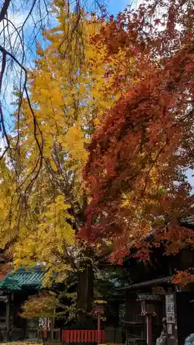 松ヶ崎大黒天 妙圓寺（妙円寺）(京都府)